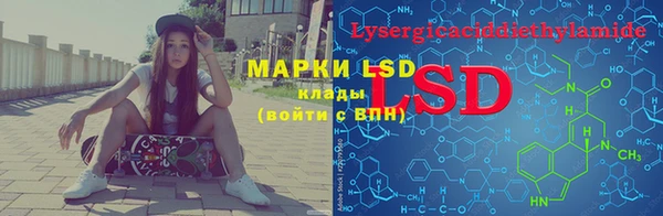 шишки Елабуга