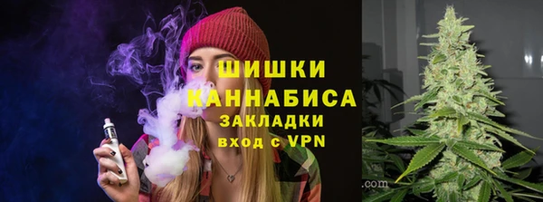 шишки Елабуга