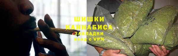 амф Дмитров