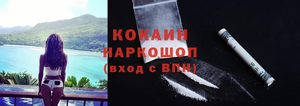 шишки Елабуга