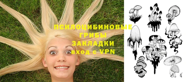 шишки Елабуга