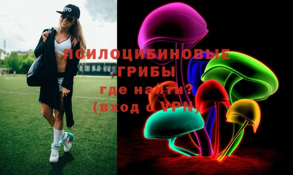 шишки Елабуга