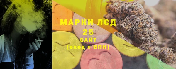 шишки Елабуга