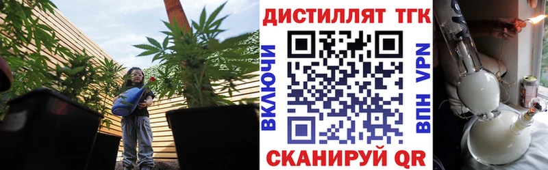Дистиллят ТГК концентрат  кракен зеркало  Зубцов  закладка 