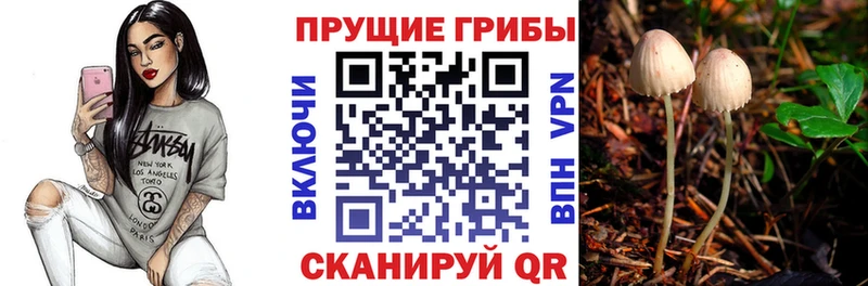 Галлюциногенные грибы прущие грибы  Зубцов 